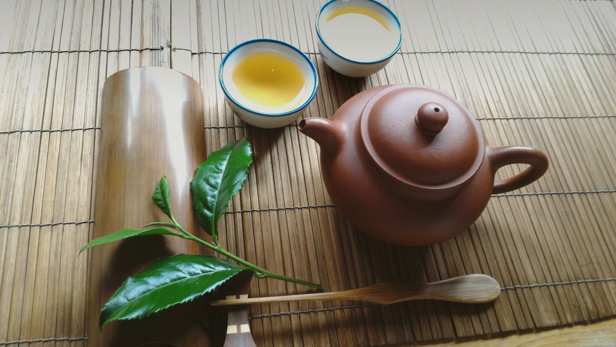 MOSO TEA